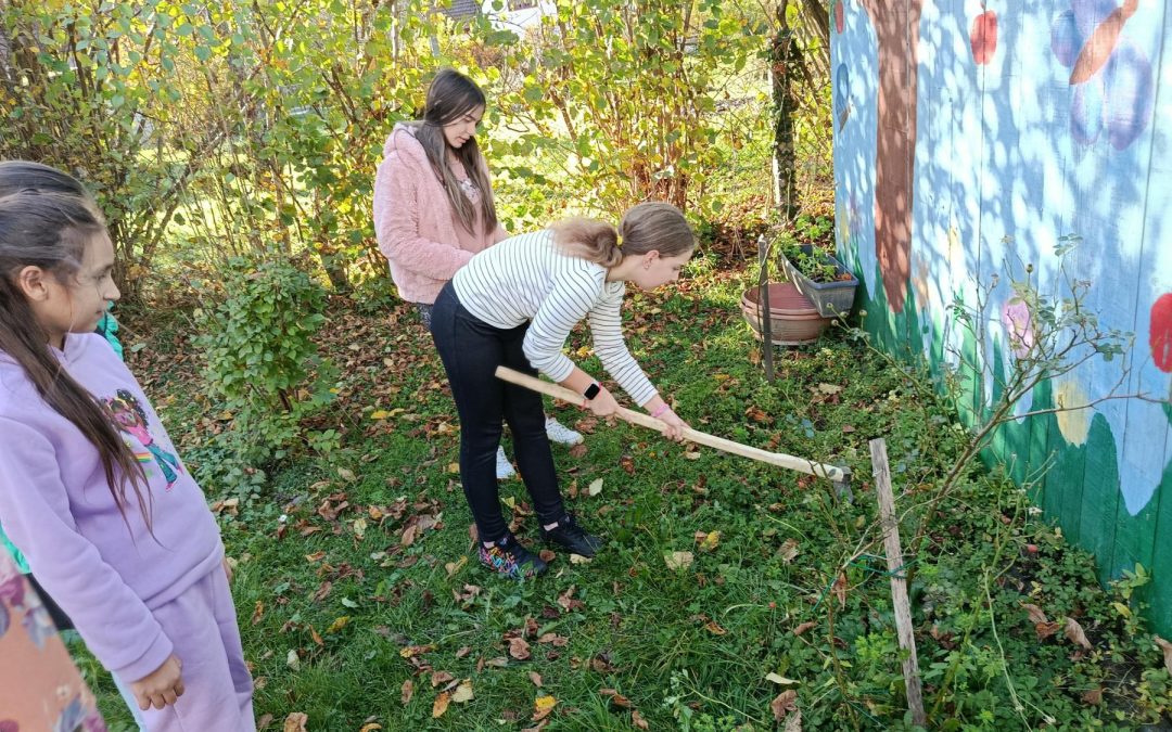 Projekt Šafran