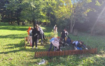 Radna akcija čišćenja školskog okoliša