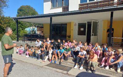 Branje jabuka za jabučni ocat